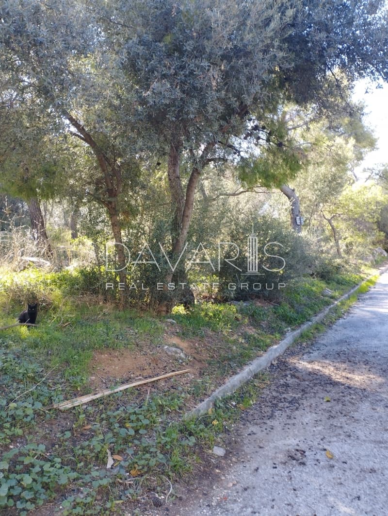 Οικόπεδο στην Άνω Μπαλάνα, Παλλήνη — Φωτογραφία 4 από 4