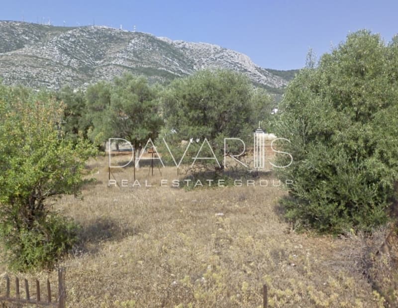 Οικόπεδο στην Αγία Τριάδα, Παιανία