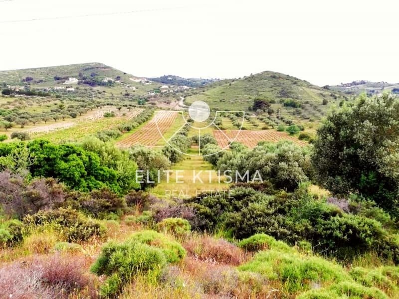 Building Plot in Manoutso, Keratea — Photo 3 of 5