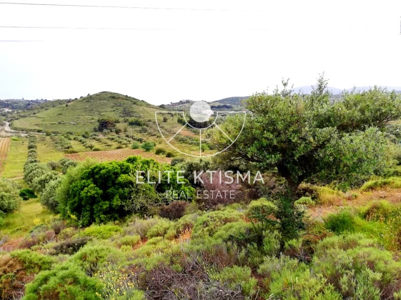 Building Plot in Manoutso, Keratea — Photo 4 of 5