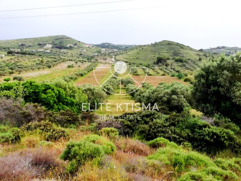 Building Plot in Manoutso, Keratea — Photo 5 of 5