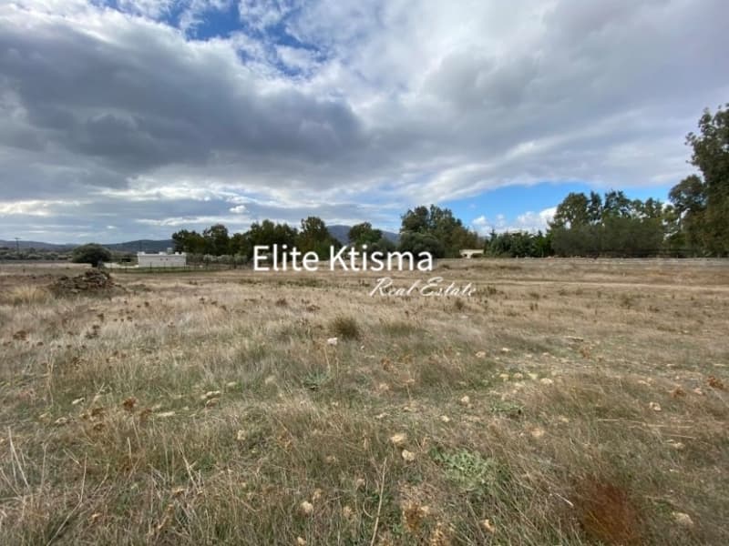 Parcel in Rountzeri Lemprou, Keratea — Photo 2 of 10