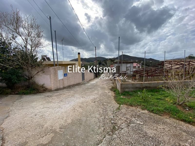 Parcel in Venio Daskaleiou, Keratea — Photo 3 of 5