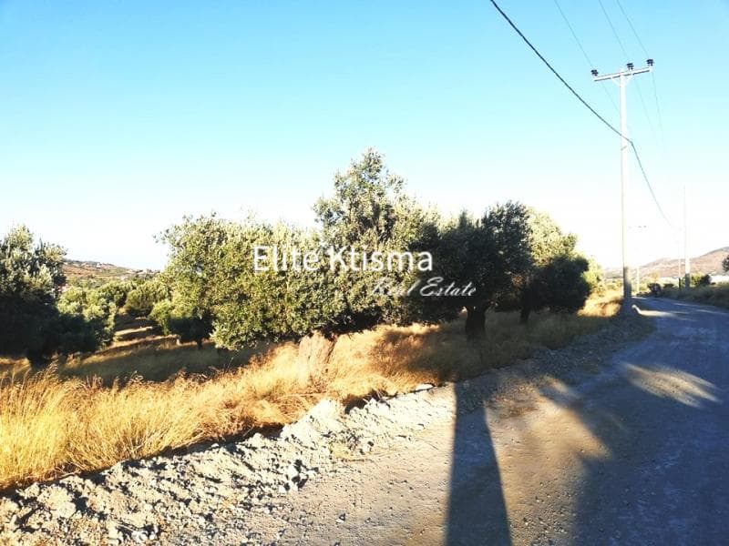Parcel in Milos, Keratea — Photo 5 of 7