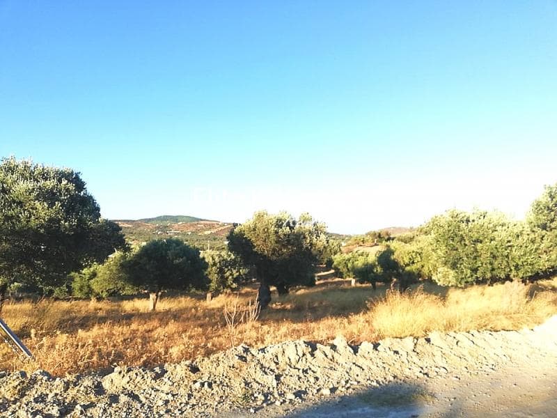 Parcel in Milos, Keratea — Photo 7 of 7
