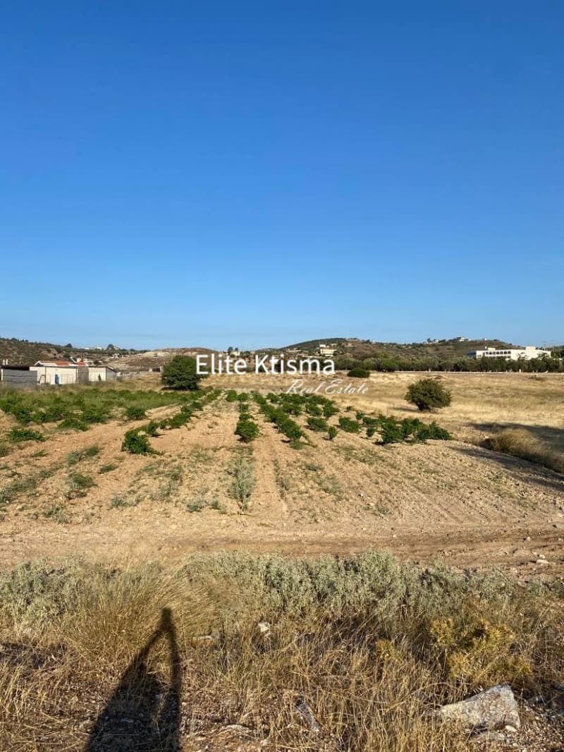 Parcel in Venio Daskaleiou, Keratea