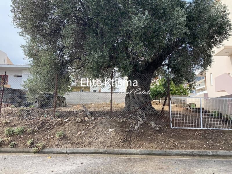 Building Plot in Dipseliza, Keratea — Photo 1 of 3
