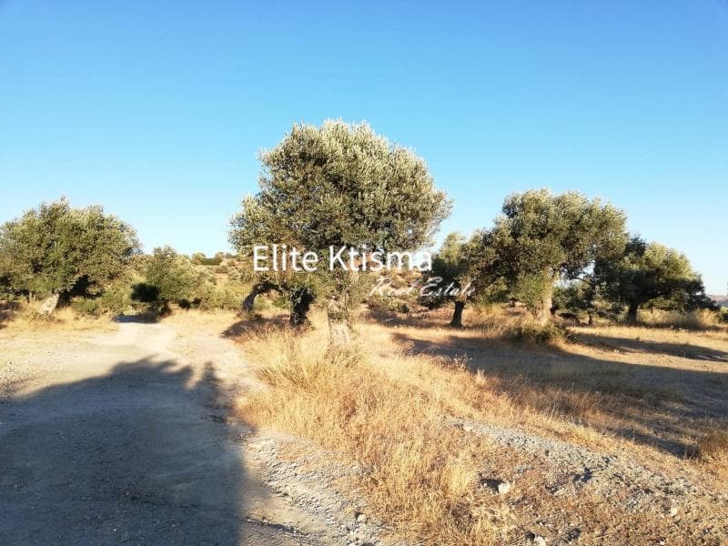 Parcel in Rountzeri Lemprou, Keratea — Photo 5 of 5