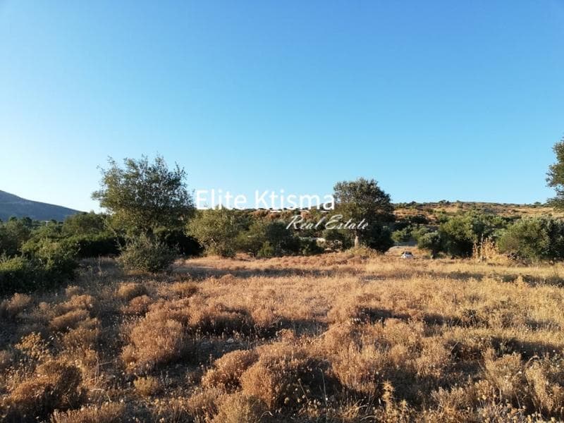 Parcel in Rountzeri Lemprou, Keratea — Photo 4 of 5