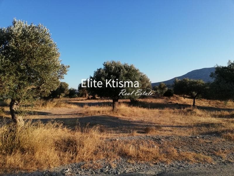 Parcel in Rountzeri Lemprou, Keratea — Photo 3 of 5