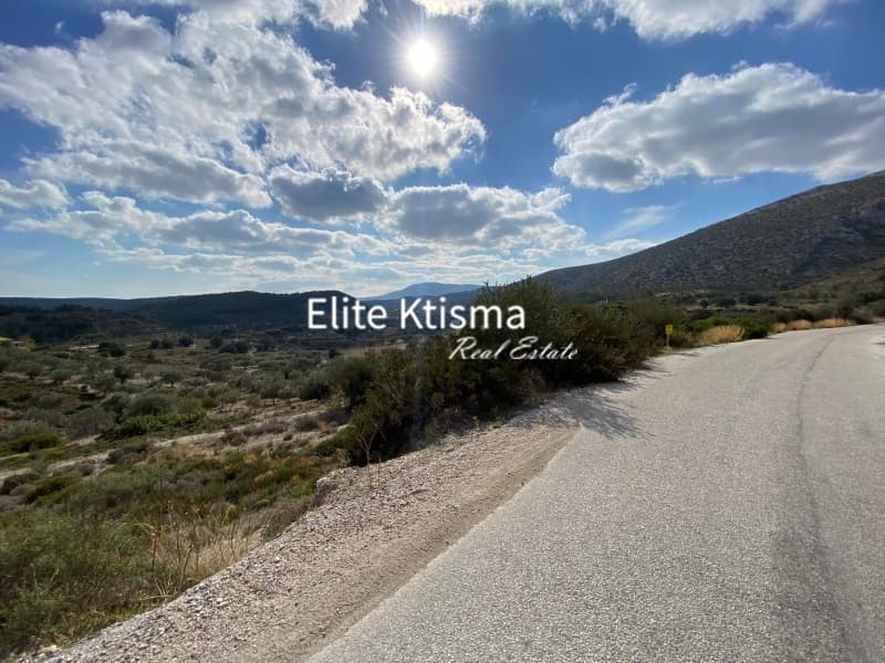 Parcel in Limni Markopoulou, Markopoulo — Photo 1 of 8