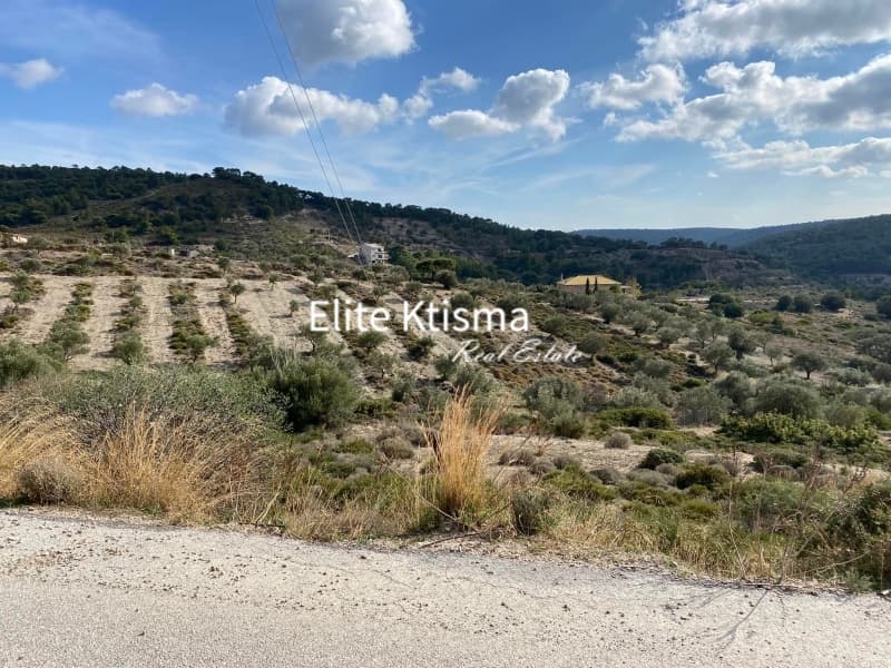 Parcel in Limni Markopoulou, Markopoulo — Photo 8 of 8