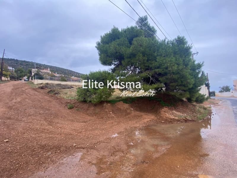 Οικόπεδο στην Πλάκα, Κερατέα — Φωτογραφία 4 από 5