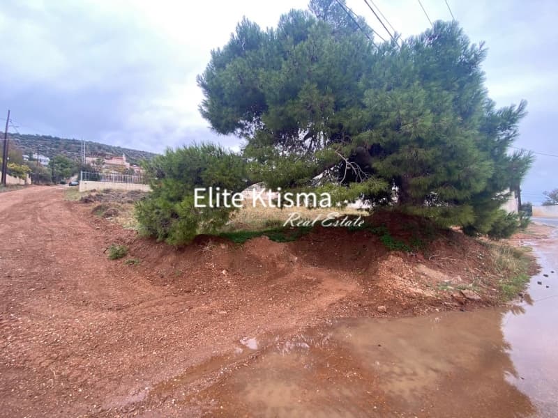 Οικόπεδο στην Πλάκα, Κερατέα — Φωτογραφία 2 από 5