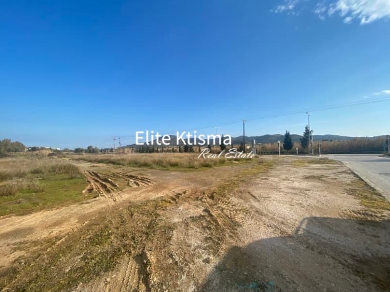 Parcel in Venio Daskaleiou, Keratea — Photo 5 of 5
