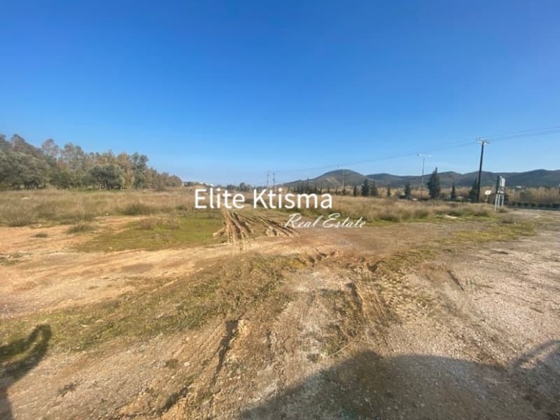 Parcel in Venio Daskaleiou, Keratea — Photo 4 of 5