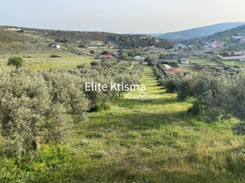 Αγροτεμάχιο στην Πόρτο Εννιά, Κερατέα — Φωτογραφία 2 από 3