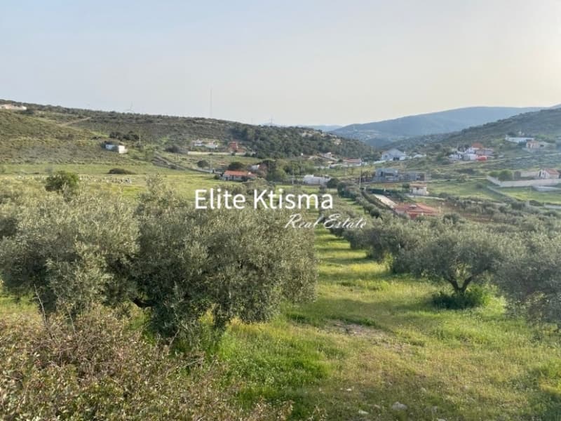 Αγροτεμάχιο στην Πόρτο Εννιά, Κερατέα — Φωτογραφία 3 από 3
