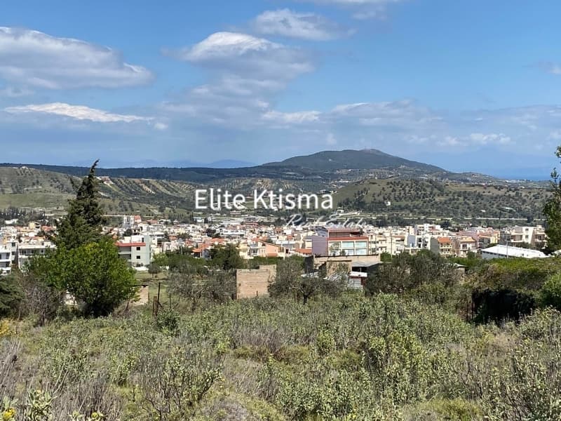 Αγροτεμάχιο στην Βένιο Δασκαλειού, Κερατέα — Φωτογραφία 5 από 5