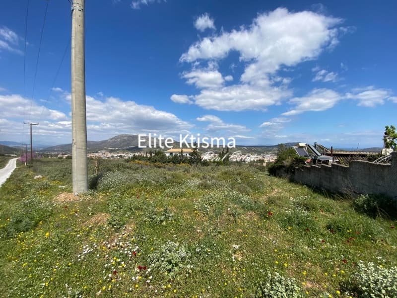 Αγροτεμάχιο στην Βένιο Δασκαλειού, Κερατέα — Φωτογραφία 1 από 5