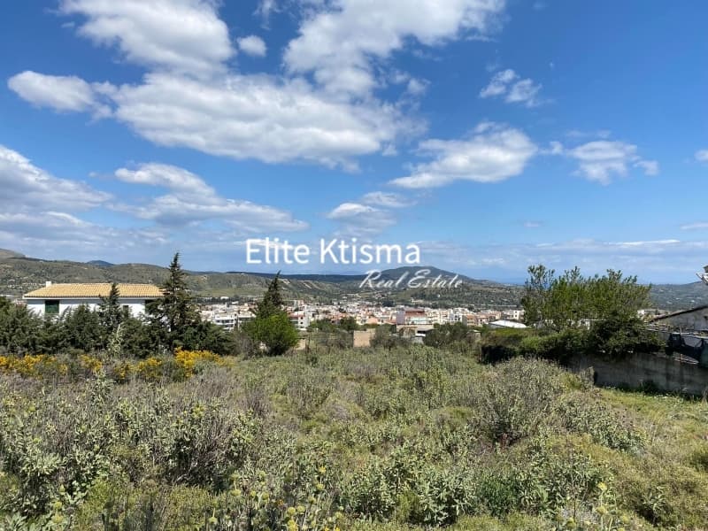 Αγροτεμάχιο στην Βένιο Δασκαλειού, Κερατέα — Φωτογραφία 4 από 5