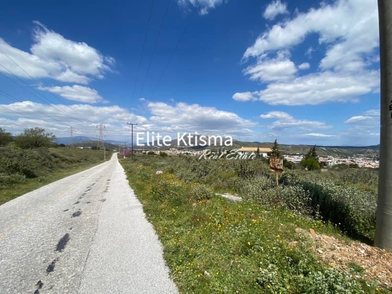Αγροτεμάχιο στην Βένιο Δασκαλειού, Κερατέα — Φωτογραφία 2 από 5