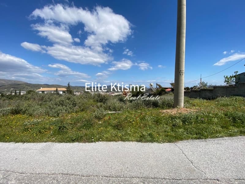 Αγροτεμάχιο στην Βένιο Δασκαλειού, Κερατέα — Φωτογραφία 3 από 5