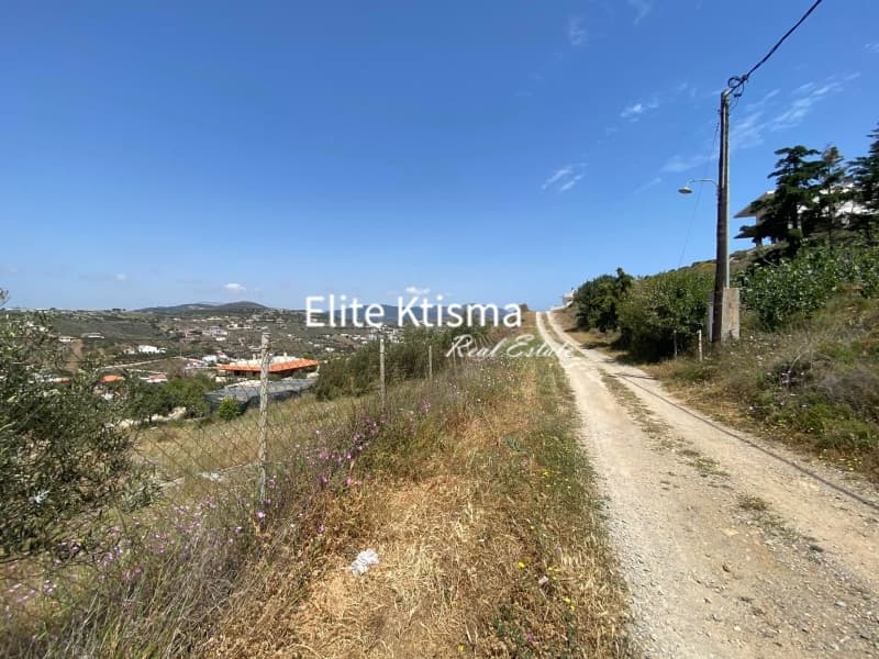 Αγροτεμάχιο στην Πεύκα, Κερατέα — Φωτογραφία 3 από 4