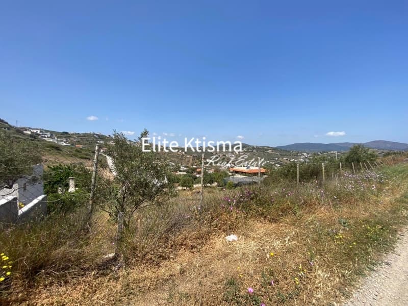 Αγροτεμάχιο στην Πεύκα, Κερατέα — Φωτογραφία 4 από 4