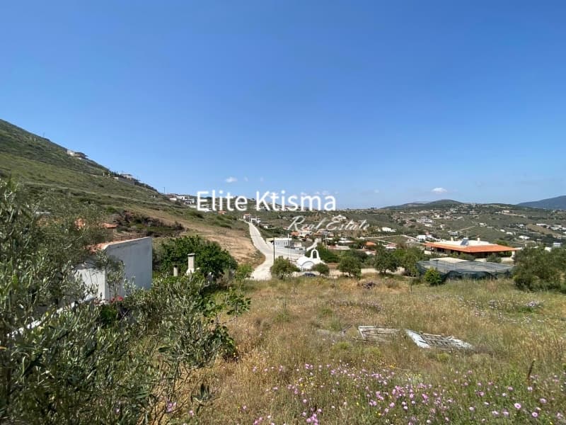 Αγροτεμάχιο στην Πεύκα, Κερατέα — Φωτογραφία 1 από 4