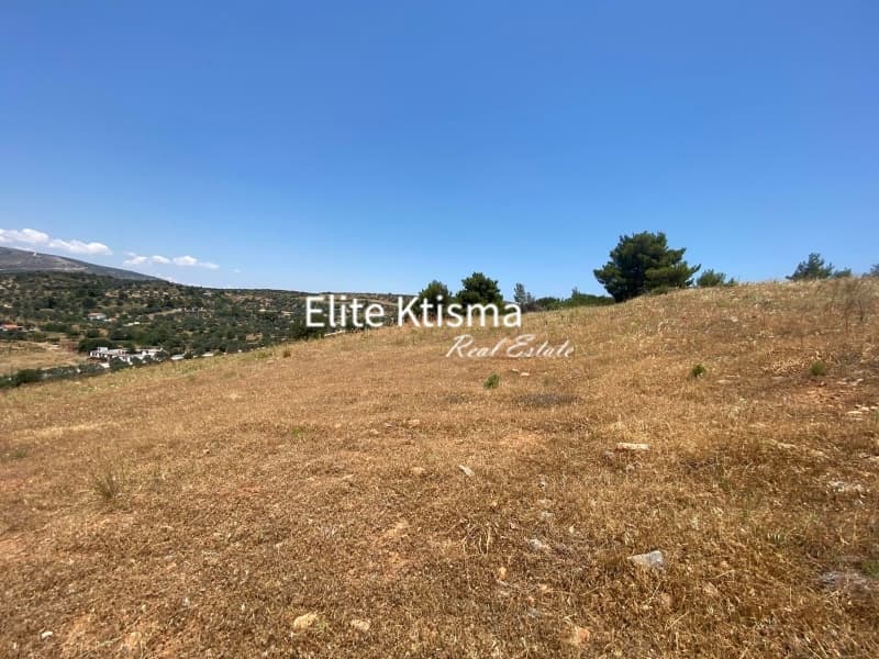 Αγροτεμάχιο στην Ρουντζέρι Λεμπρού, Κερατέα — Φωτογραφία 2 από 2