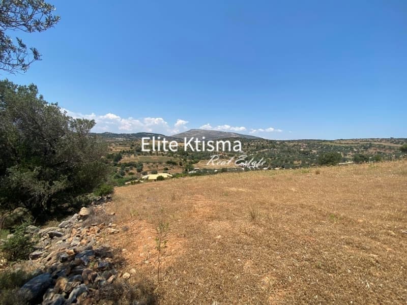 Αγροτεμάχιο στην Ρουντζέρι Λεμπρού, Κερατέα — Φωτογραφία 1 από 2