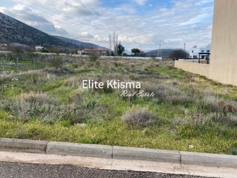 Οικόπεδο στην Βένιο Δασκαλειού, Κερατέα — Φωτογραφία 2 από 2
