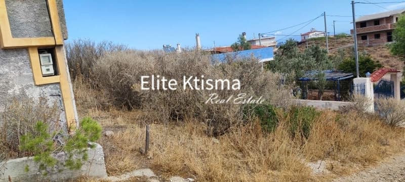 Αγροτεμάχιο στην Πόρτο Εννιά, Κερατέα — Φωτογραφία 3 από 6