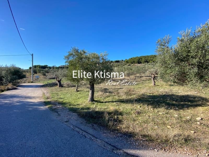 Αγροτεμάχιο στην Ρουντζέρι Λεμπρού, Κερατέα — Φωτογραφία 5 από 7