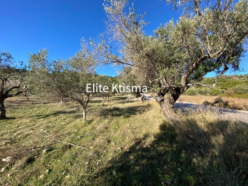 Αγροτεμάχιο στην Ρουντζέρι Λεμπρού, Κερατέα — Φωτογραφία 2 από 7