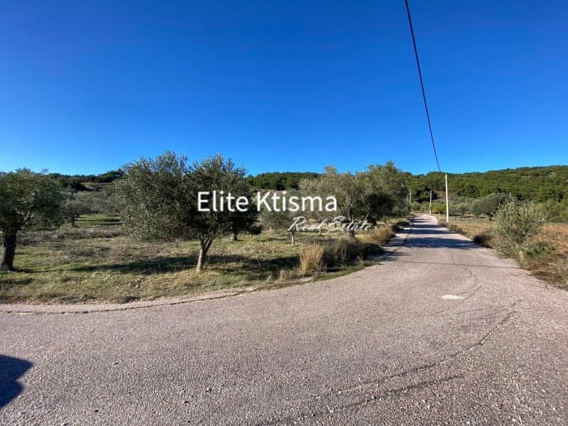 Αγροτεμάχιο στην Ρουντζέρι Λεμπρού, Κερατέα — Φωτογραφία 6 από 7