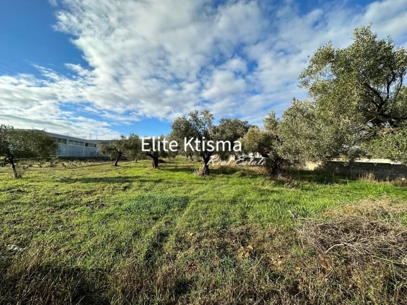 Οικόπεδο στην Βένιο Δασκαλειού, Κερατέα — Φωτογραφία 1 από 2