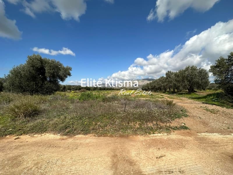 Parcel in Ari, Anavissos — Photo 2 of 5