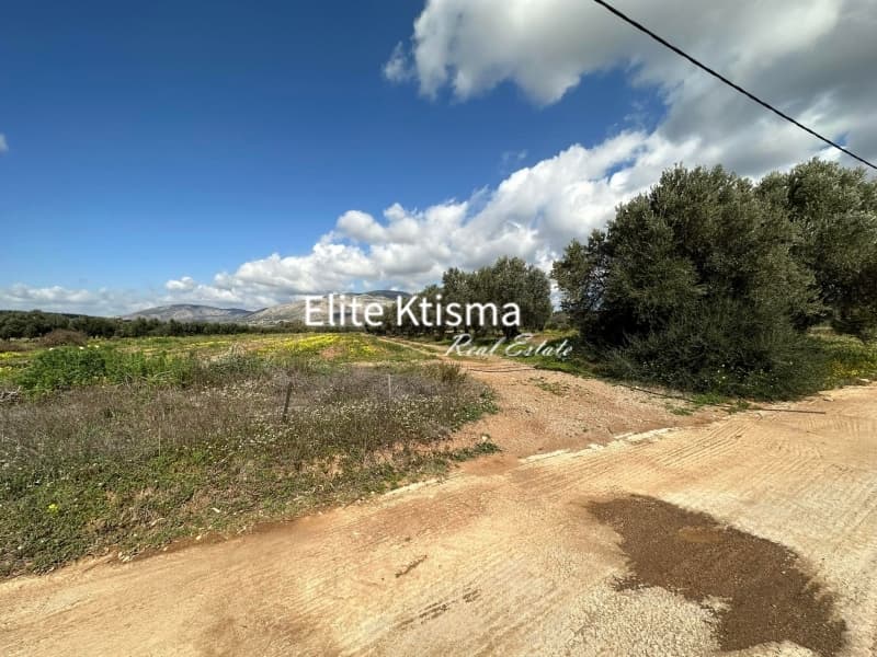 Parcel in Ari, Anavissos — Photo 1 of 5