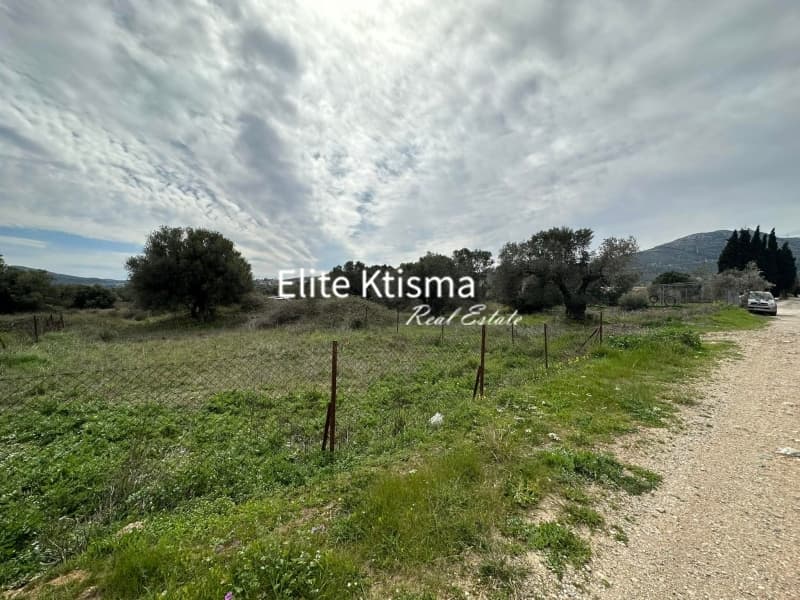 Αγροτεμάχιο στην Ρουντζέρι Λεμπρού, Κερατέα — Φωτογραφία 3 από 4