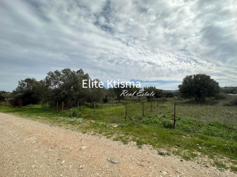 Αγροτεμάχιο στην Ρουντζέρι Λεμπρού, Κερατέα — Φωτογραφία 1 από 4