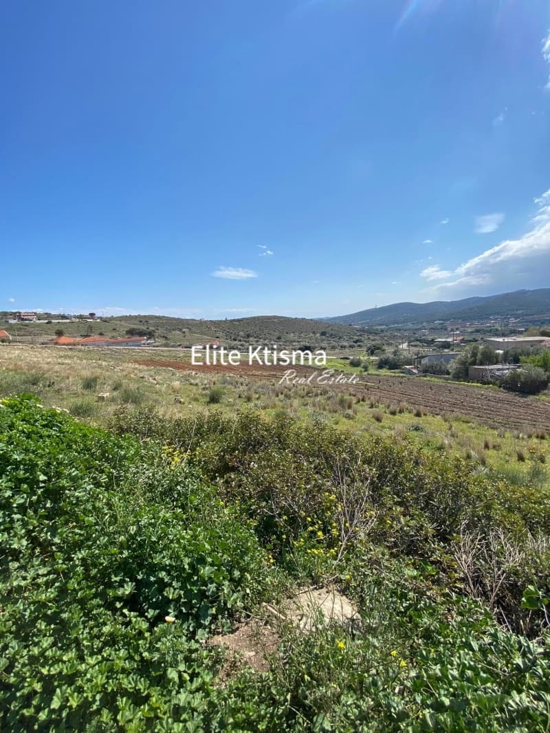 Αγροτεμάχιο στην Πλάκα, Κερατέα — Φωτογραφία 1 από 6