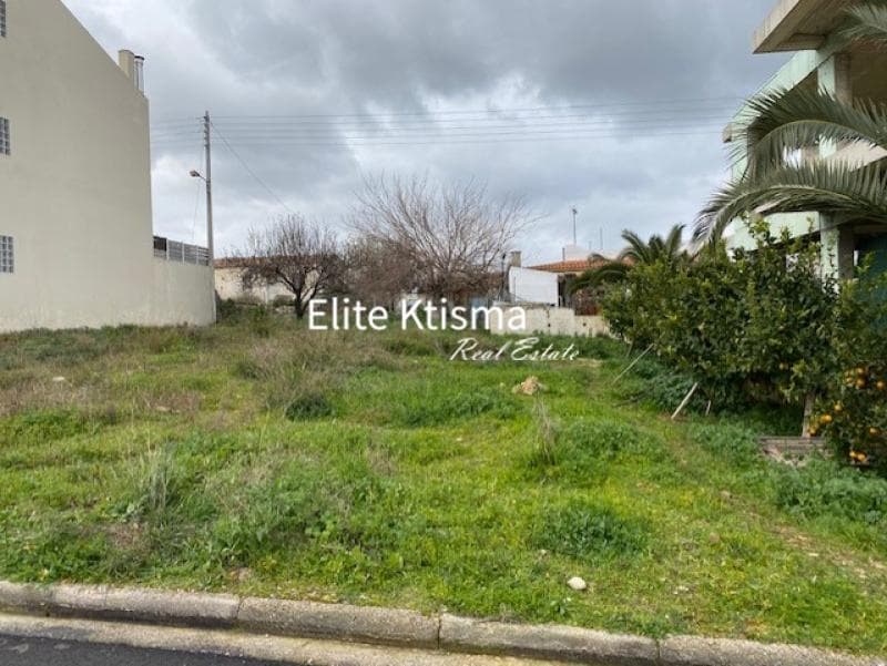 Building Plot in Venio Daskaleiou, Keratea — Photo 8 of 9