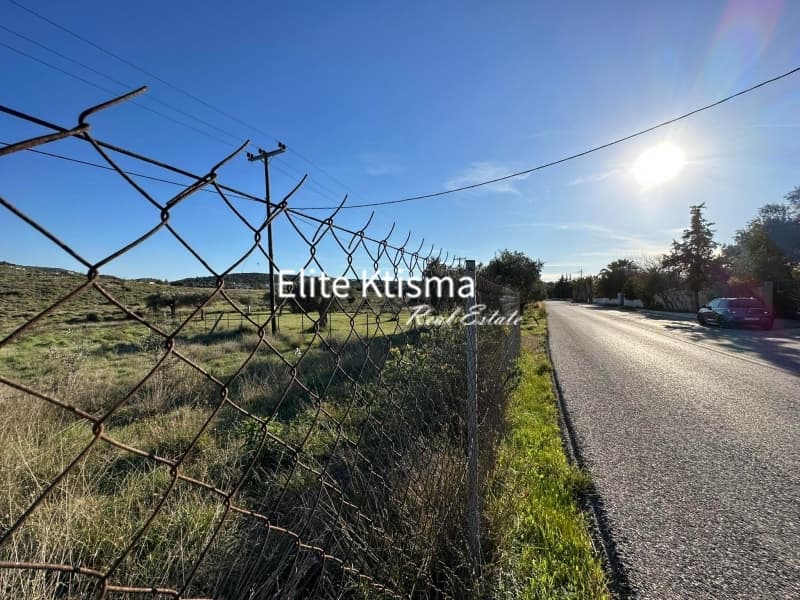 Αγροτεμάχιο στην Μητροπήσι, Κερατέα — Φωτογραφία 3 από 8