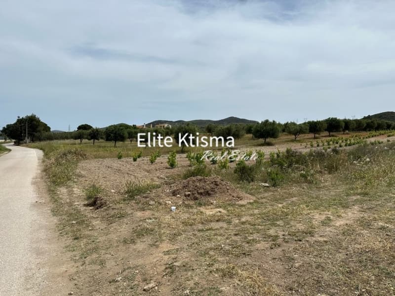 Αγροτεμάχιο στην Μανούτσο, Κερατέα — Φωτογραφία 3 από 5