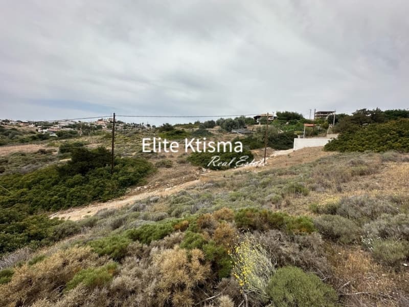 Αγροτεμάχιο στην Μικρολίμανο, Λαύριο — Φωτογραφία 4 από 5