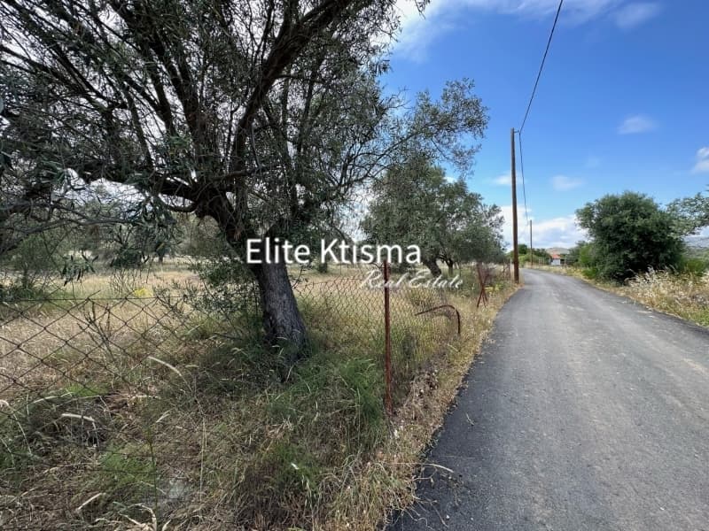 Αγροτεμάχιο στην Βένιο Δασκαλειού, Κερατέα — Φωτογραφία 4 από 6