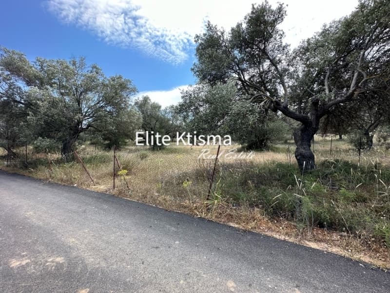 Αγροτεμάχιο στην Βένιο Δασκαλειού, Κερατέα — Φωτογραφία 6 από 6