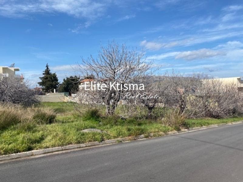 Building Plot in Venio Daskaleiou, Keratea — Photo 3 of 8